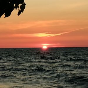 Meet your Posher, Ann